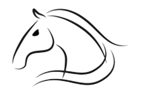 sv-dierfysiotherapie.nl